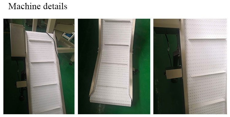 SUS304 Food Grade Conveyor