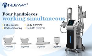 Wholesale Cryo fat reduction Cryolipolysis cool shaping body sculpting machine from china suppliers