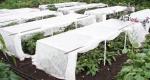 Anti Aging Agriculture Non Woven Fabric / Polypropylene Fabric Rolls For