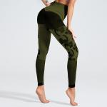 2019 Leopard Grain Seanmless Mesh Woman Fitness Yoga Leggings Or Top