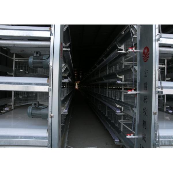 160 Birds Layer Chicken Cage Automatic Controlling System Q235 Steel Wire Material