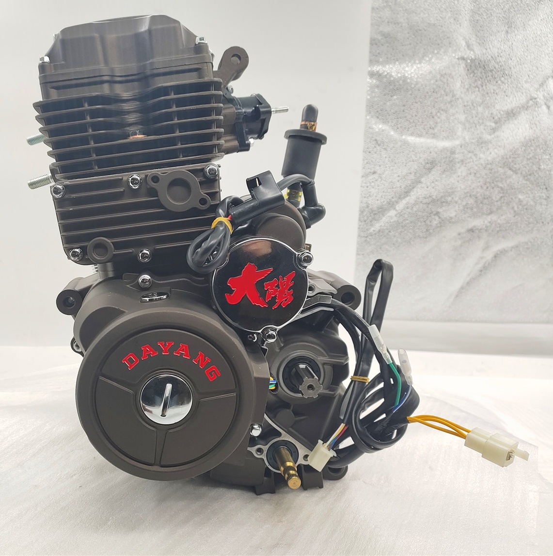 DAYANG LIFAN CG Cool 250cc Motorcycle Engine Assembly Electric Start and CCC Certified