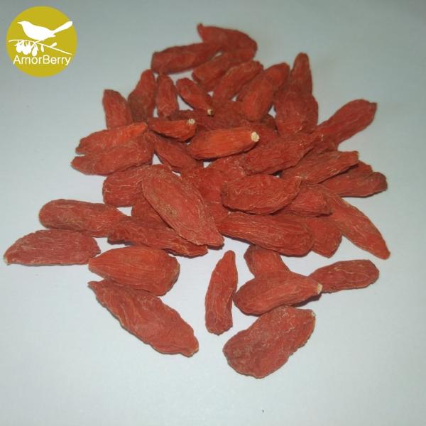 China supplier dried medlar wolfberry Dried wolfberry Himalayan fruit tea