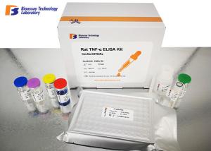 Wholesale Anti - Mullerian Hormone Mouse ELISA Kit CE / ISO / MSDS Approval from china suppliers