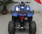 8" Tire 150cc Youth Atv W / Foot Start , Single Cylinder All Terrain Utility