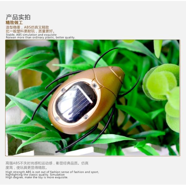 New Fashion Patent Cute Gift Solar Scarab