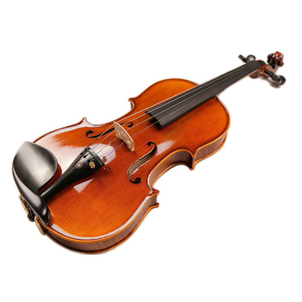 Ebony Parts Solid Wood 4/4 Electric Violin with Case (VE008) Muscial Instruments Satin Finish Student Flamed Maple Wood