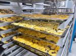 Ce Industrial Lyophilizer Freeze Dryer 60Hz For Vegetable Machine 600*750*750