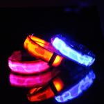 Flashing Light Up LED Dog Collar / OEM Illuminated Dog Collar Leash