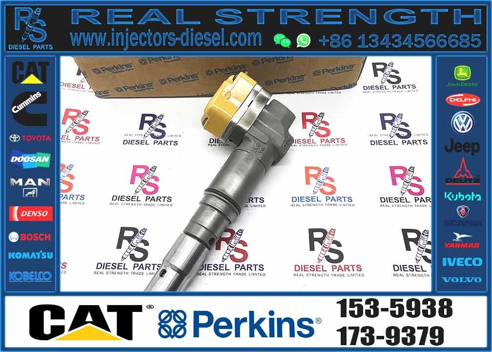 Excavator Parts 3116 Engine Injector 0R-8483 0R-3002 0R-8477 0R-3190 0R-8473 4P-2995 Fuel Injector For Excavator