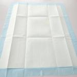 20g-120g Core Dog Pet Training Pads Diaper Charcoal Pet Pads for Dogs Diaper