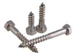 Hexagon Lag Head Self Tapping Wood Screws DIN 571 / ANSI / ASME B 18.2.1