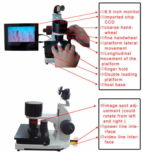7 Inch Black LCD Capillary Nail Microcirculation LED Cold Light