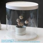 Tall Clear Cake Boxes With Ribbon - Gold Round Clear Cake Box For Birthday Cake