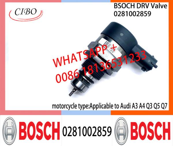 BOSCH DRV Valve 0281002858 0281002859 Control Valve 0281002858 0281002859 for
