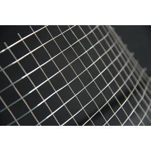 Galvanized Welded Wire Mesh Rolls 0.5mm for Fence and Cages