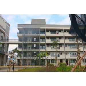 Low Maintenance Steel Structure Commercial Building Customization Possible And