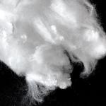 Low Melting Point Bicomponent Polyester Fiber , 2D×38mm ES Fiber