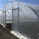 Tunnel Cover Reinforced Clear Poly Sheeting Polyethylene Film Greenhouse