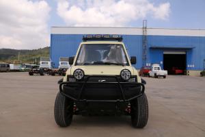 Wholesale Auto New Energy Electric Vehicle Off-Road Pickup LFP Battery Four Wheel Drive 2 Seats from china suppliers