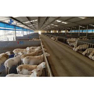 Wholesale Portable Chicken Cages for Poultry House Husbandry Equipment on Cow/Sheep/Pig Farms from china suppliers