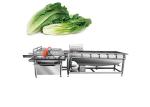 304 SS Vegetable Fruit Washing Machine Salad Cleanning Equipment