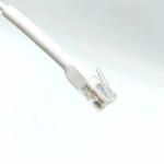 Customize Length CMP/CMR Copper Conductor Internal PVC Jacket Cable Ethernet Lan