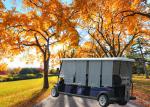 Modern Design Electric Club Car , Motorized Street Golf Cart 8 Passenger