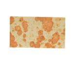 Common Refractoriness Alumina Silica Fire Clay Melting Furnace Brick for