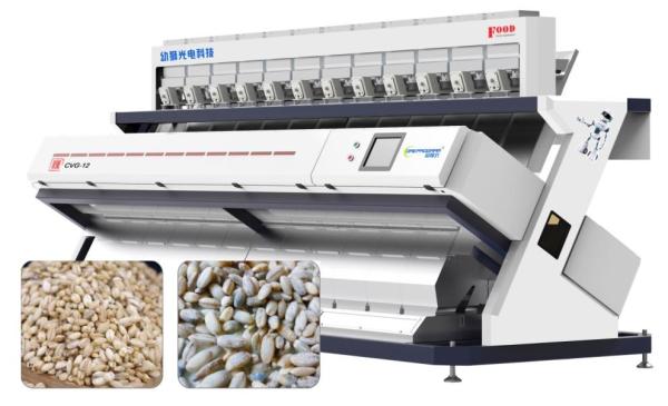 Highland Barley Color Sorter , sorter Wheat Machine Intelligent Recognition 12