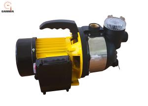 Wholesale 110V 60HZ Garden Water Pump Water Hose Pressure Booster Pump CE Approved from china suppliers
