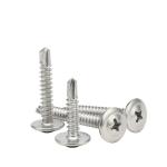 Inspected Self-Drilling Screws in SS304/Carbon Steel/Brass for Fine Metal