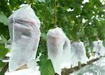Degradable PP Non Woven Fabric , Plant Cover Ground Weed Control Fabric UV