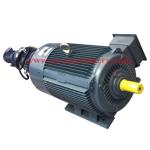 Single Phase Electric Motor, AC Electric Motor and Geared Motor,Small AC Motor