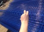 Double circles fence/double loop ornamental fence PVC coated Low Price