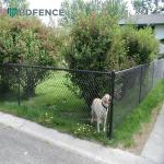 Hardware Jamaica Stadium Diamond Chain Link Fence Round Post