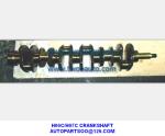 HINO EH700 CRANKSHAFT H06C H07C CIGÜEÑAL 13411-1291 W04D W04C W06E W06D EK100