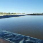 1mm HDPE Geomembrane Pond Liner for Dam Pond Project in Singapore Waterproof