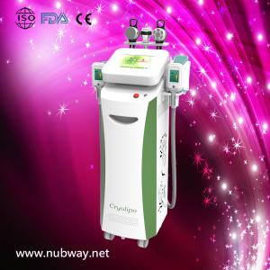 Wholesale Hot Vertical amazing result cryolipolysis machine ce to lose weight for salon from china suppliers