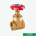 Customized Brand BSPT Heavier Style Brass Gate Valve Double Female Heavier type
