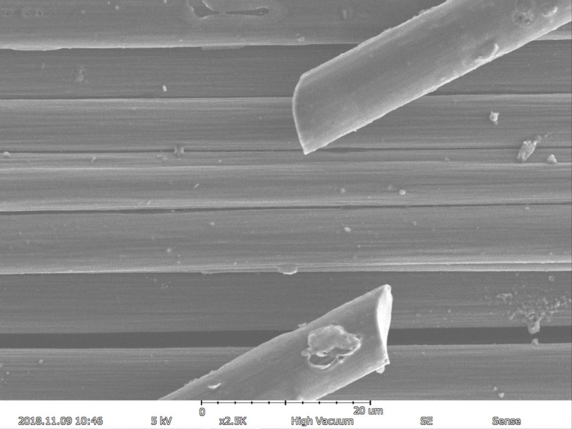 Magnification Max 150000X Scanning Electron Microscope 5nm Resolution EDS BSE