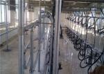 HL-G01 2x15 Glass Milk Bottle Cow Herringbone Milking Parlor with 380 Volt 50Hz