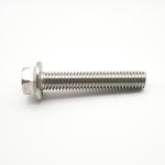 M3-M56 Stainless Steel Best Price Din 6921 Hex Head Flange Bolt