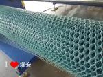 Excellent Performance AF-3200mm Wide PP,PE Rigid Netting Extrusion Machine