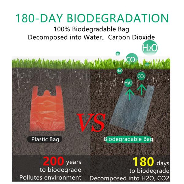 Shopping Reusable Biodegradable Bags Customized Eco Friendly Plastic Bags