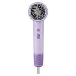 2000W Fast Drying Low Noise Quiet Negative Ion Blue Light Professional Hair