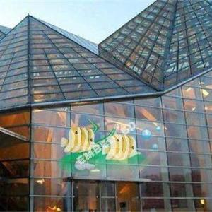 Wholesale Lightweight Fanless LED Curtain Screen All Weather IP67 Rated Water Resistant from china suppliers