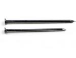 10G*3" Polish Common Iron Wire Nails Flat Head Smooth Shank Nails
