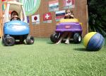 Free Metal Landscaping Artificial Grass Mats Anti-UV Environment Friendly
