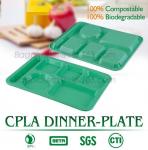 School use high quality biodegradable lunch plate for students, children plate